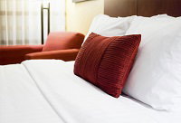 Hotel Daintree Cape Tribulation Heritage Lodge - Palm Beach Accommodation 0