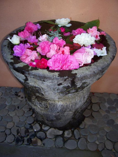 Riveresque - Palm Beach Accommodation 2