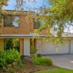 Wild Waves - Palm Beach Accommodation 0