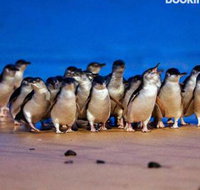 Lantana - Palm Beach Accommodation