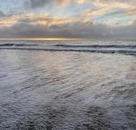 Sandpiper Motel - Palm Beach Accommodation