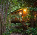 Wildwood - Palm Beach Accommodation