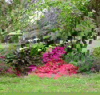 North East Rest Awhile Bed  Breakfast - Palm Beach Accommodation