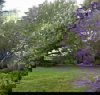 Petersons Armidale Winery  Guesthouse - Palm Beach Accommodation