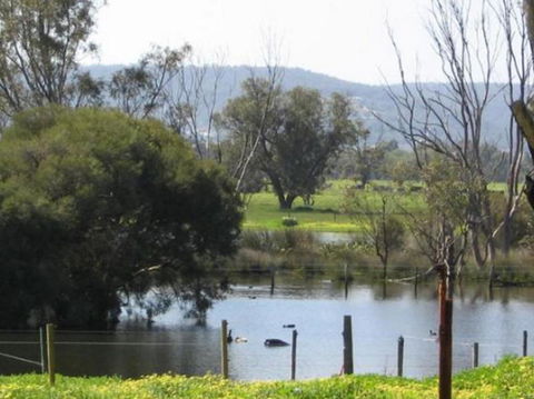 Armadale Farmstay Bed & Breakfast - Palm Beach Accommodation 4