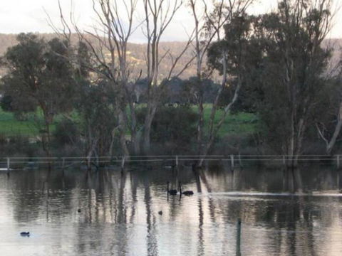 Armadale Farmstay Bed & Breakfast - Palm Beach Accommodation 3