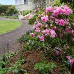 Tonganah TAS Palm Beach Accommodation