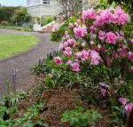 Anabels of Scottsdale - Palm Beach Accommodation