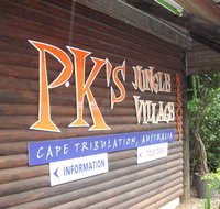 PKs Jungle Village - Hostel - Palm Beach Accommodation
