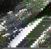 Ivy on Glenelg - Palm Beach Accommodation