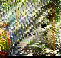 Cashelmara Beachfront Apartments - Palm Beach Accommodation