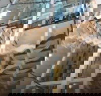 Platinum Suites Fremantle - Palm Beach Accommodation