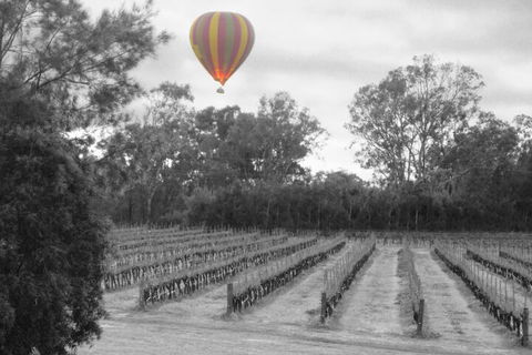 Adina Vineyard - Palm Beach Accommodation 5