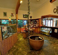 Lync Haven Rain Forest Retreat - Palm Beach Accommodation