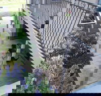 Swan Lake Guest House - Palm Beach Accommodation