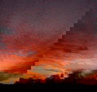 City Centre Motel - Palm Beach Accommodation