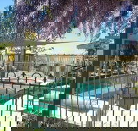 Must Love Dogs Bb - Palm Beach Accommodation