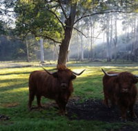 Dingley Dell - Palm Beach Accommodation