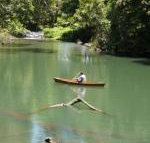 Figtree Getaway - Palm Beach Accommodation