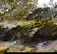 Green Gully House - Palm Beach Accommodation