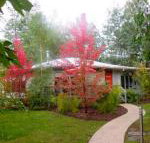 Dalrymples Guest Cottages - Palm Beach Accommodation