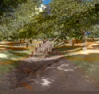 Glencoe Country BB - Palm Beach Accommodation