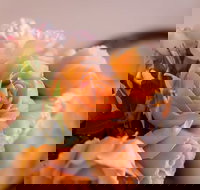 Barossa House - Palm Beach Accommodation