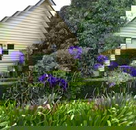 Tamborine Gardens - Palm Beach Accommodation