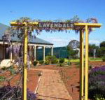 Lavendale Farmstay  Cottages York - Palm Beach Accommodation