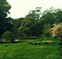 Birdwing Bed  Breakfast Weegena - Palm Beach Accommodation