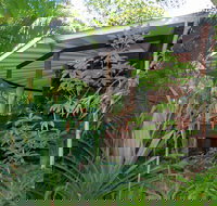 Mt Warning Rainforest Retreat - Palm Beach Accommodation