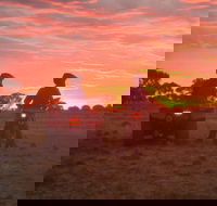 Corynnia Station - Palm Beach Accommodation