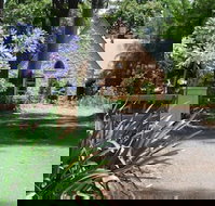 Witches Falls Cottages - Palm Beach Accommodation