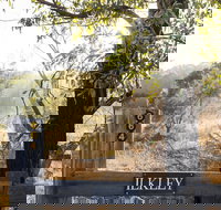 Ilkley Cottages - Palm Beach Accommodation