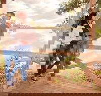 Evedon Park Bush Retreat - Palm Beach Accommodation