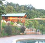 Coral Sea Views - Palm Beach Accommodation
