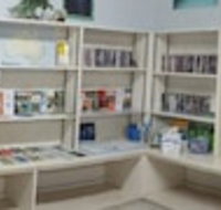 Limestone Coast Tourist Park - Palm Beach Accommodation