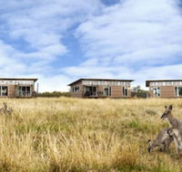 Savannah Cabins - Palm Beach Accommodation