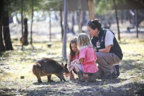 Billabong Camp Taronga Western Plains Zoo - Palm Beach Accommodation 6