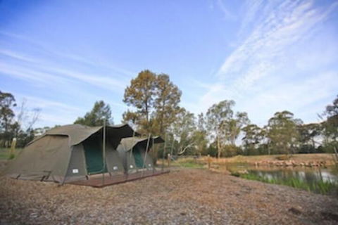 Billabong Camp Taronga Western Plains Zoo - Palm Beach Accommodation 4