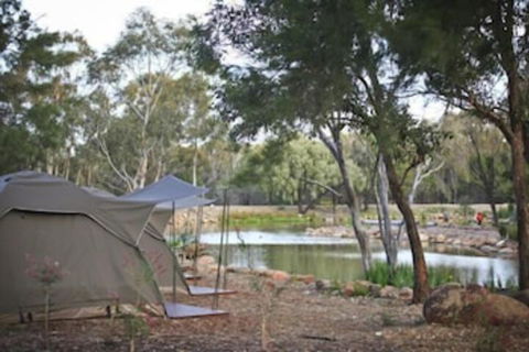 Billabong Camp Taronga Western Plains Zoo - Palm Beach Accommodation 2
