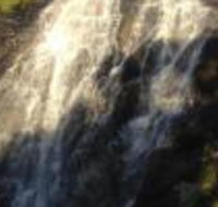 Beyonderup Falls Adult Retreat - Palm Beach Accommodation