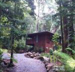 Black Palm Cape Tribulation - Palm Beach Accommodation