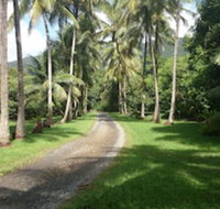 Cape Trib Farmstay - Palm Beach Accommodation