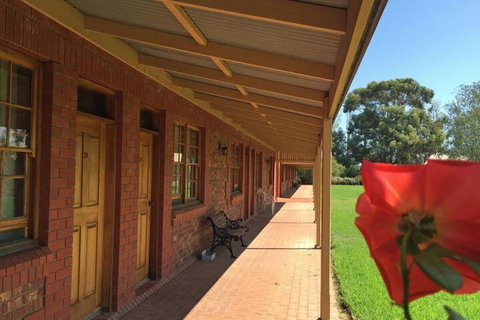 Coonawarra Units - Palm Beach Accommodation 7