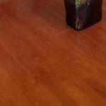  Palm Beach Accommodation