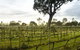 Highbank Country Accommodation - thumb 6
