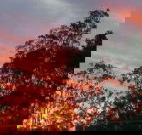 The York Heritage Hotel  Terraces - Palm Beach Accommodation