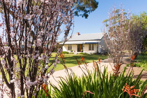 20 Hill Avenue Bed & Breakfast - Palm Beach Accommodation 3