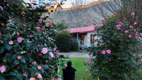 Mystic View Cottage Wandiligong - Palm Beach Accommodation 0